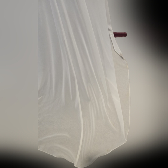 Anna rose gown, new with tags Size 8 - Picture 13 of 14